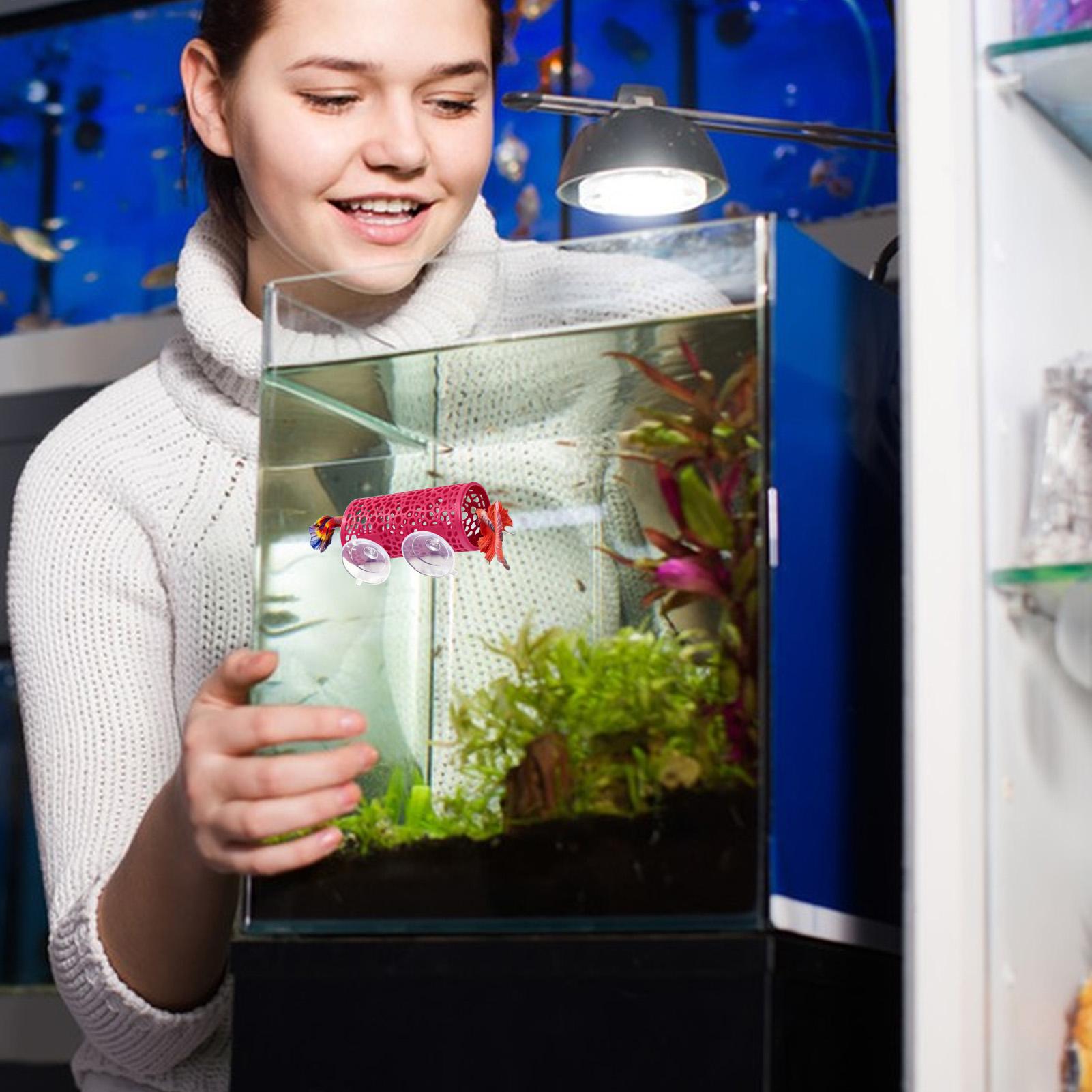 Aquarium Fish Cichlid - ベタの生息地、休憩用シェルター、装飾用魚トンネルおもちゃ、水槽用吸盤付き小型安全チューブシェルター、水生ペット、シクリッド用