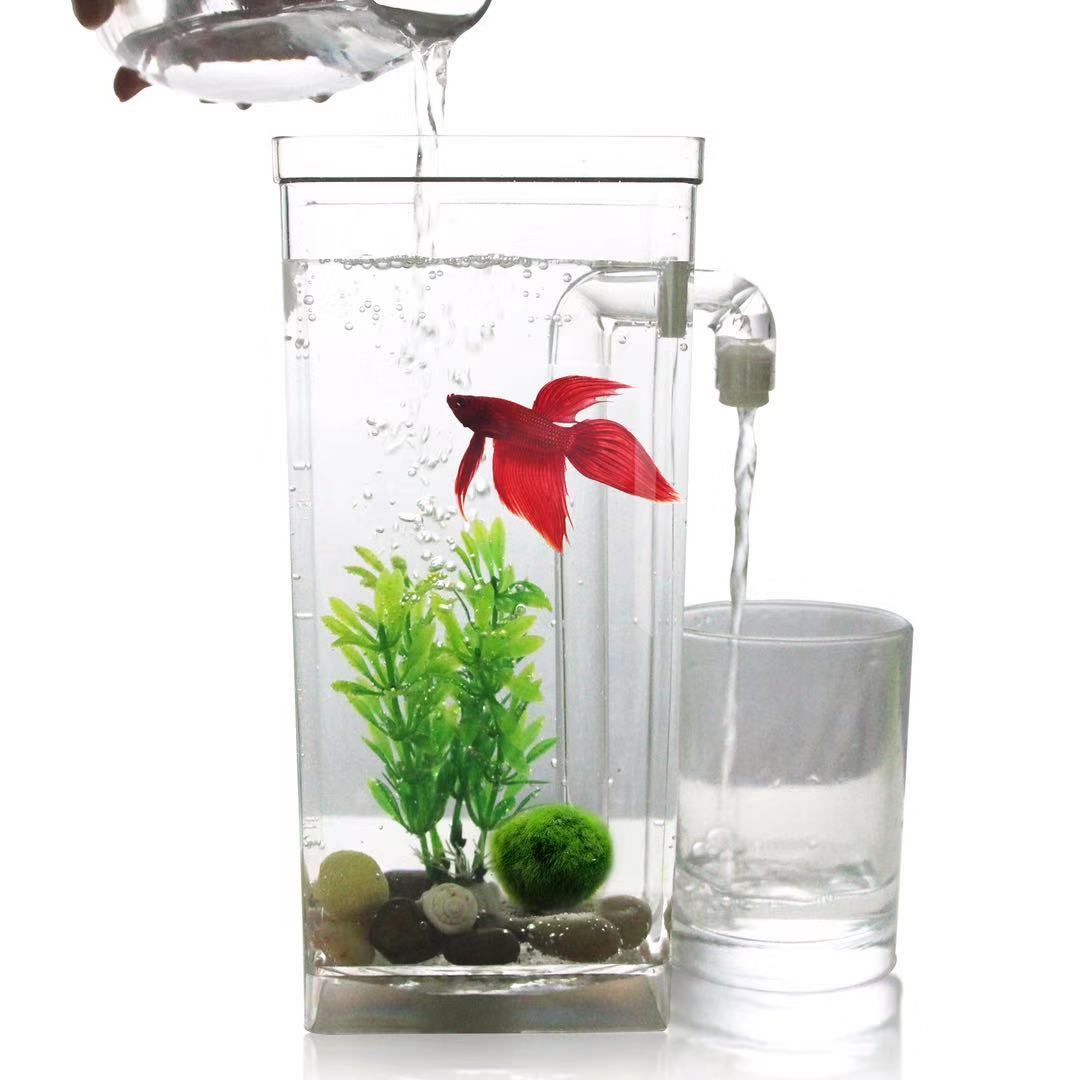 Aquarium Fish Goldfish - 水族館,水槽,魚の形をした小さなプラスチックのタンク