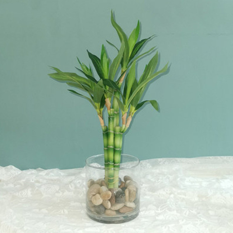 Aquarium Fish Only - 新しい40cm人工ラッキーバンブー多肉植物フェイクプラントフラワー、緑の鉢植え、庭、屋外ダイニングテーブル、水槽、家の装飾に。