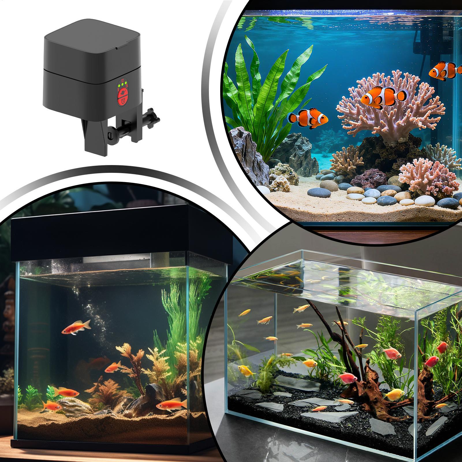 Aquarium Fish Auto Feeder - 自動魚フィーダー自動充電式小型給餌ステーション自動魚フィーダー水族館の池ボウル水生爬虫類用