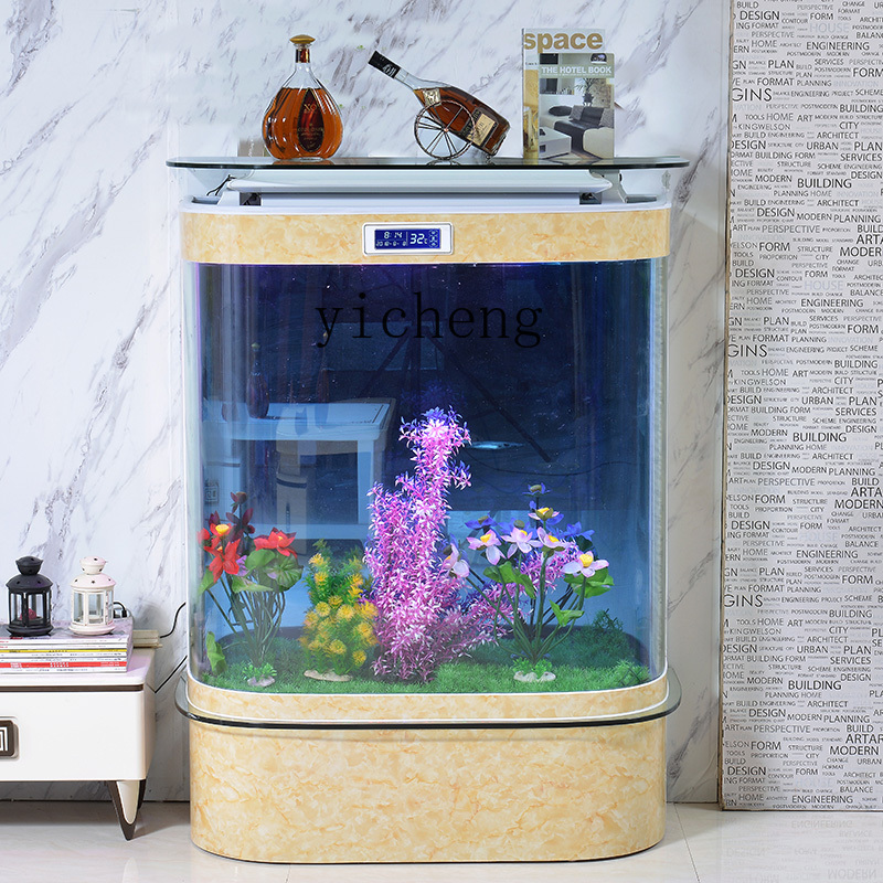 Aquarium Xl - XL水槽 アクアリウム 欧州風 エコガラス 大型・中型金魚 魚飼育