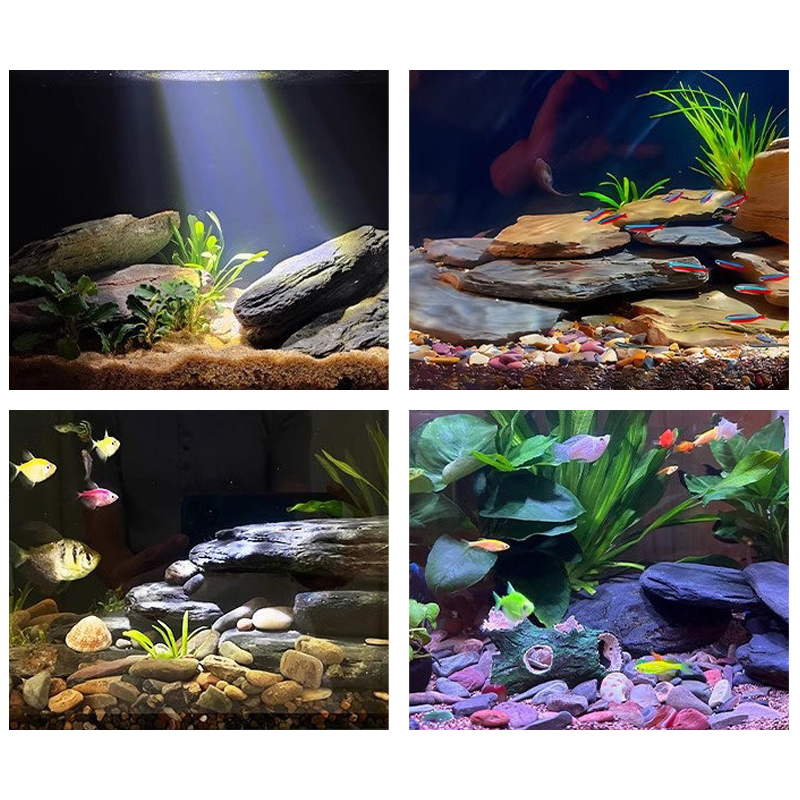 500/1000 グラム水槽造園石キットスレート岩石テラリウ - Fish Aquarium Home のレビューと価格