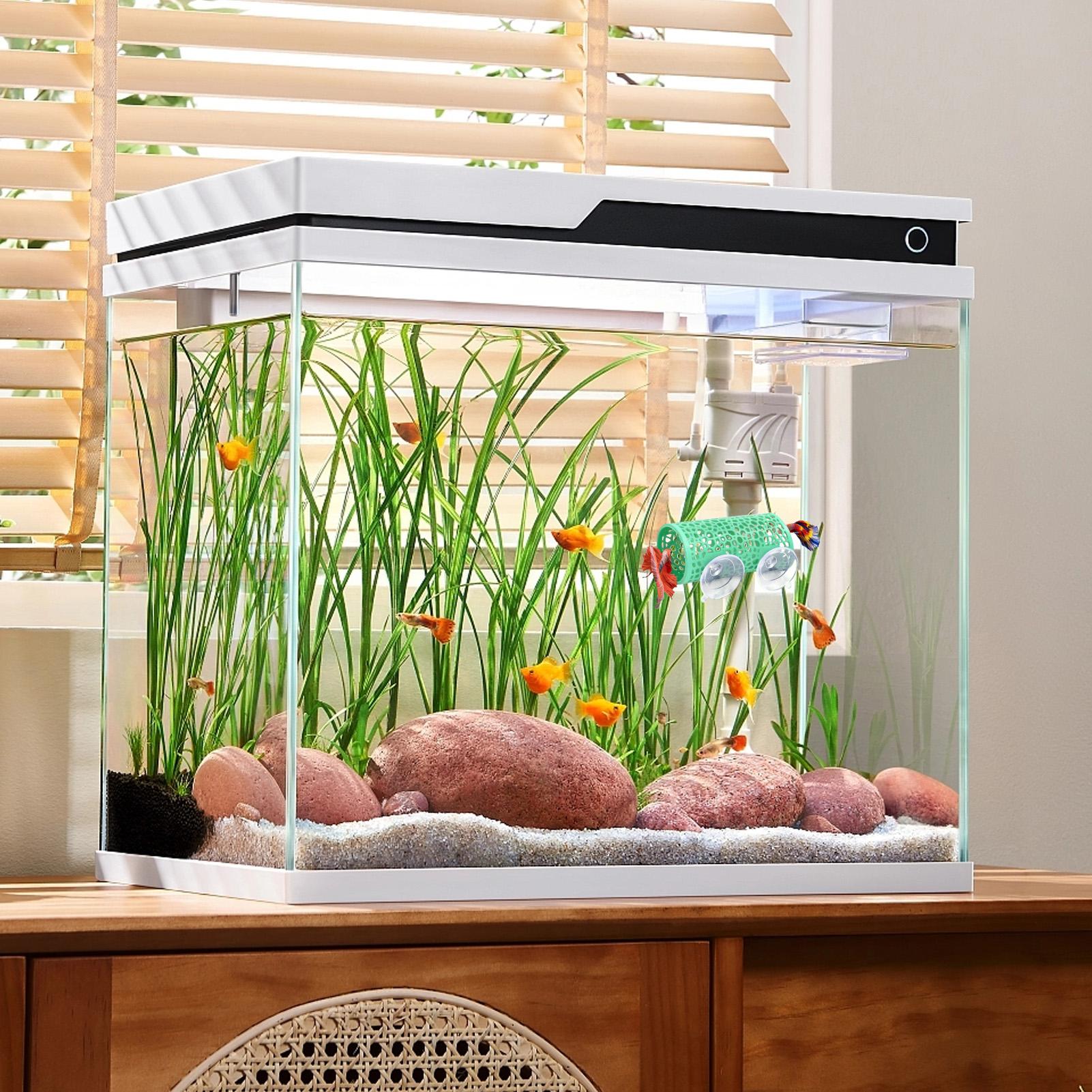 ベタの生息地、休憩用シェルター、装飾用魚トンネルおもちゃ、水 - Aquarium Fish Cichlid のレビューと価格