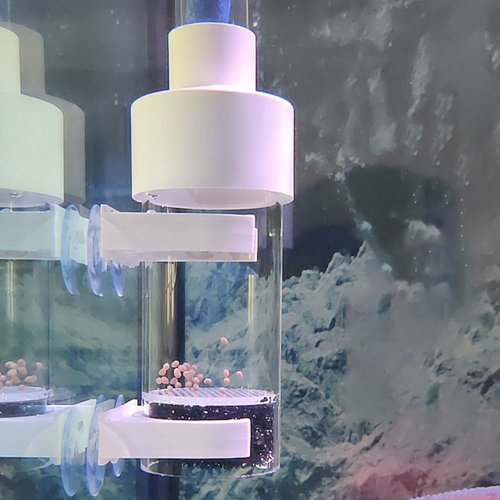 40 ミリメートルタンブラーインキュベーター魚孵化場口育苗水 - Aquarium Fish Cichlid のレビューと価格