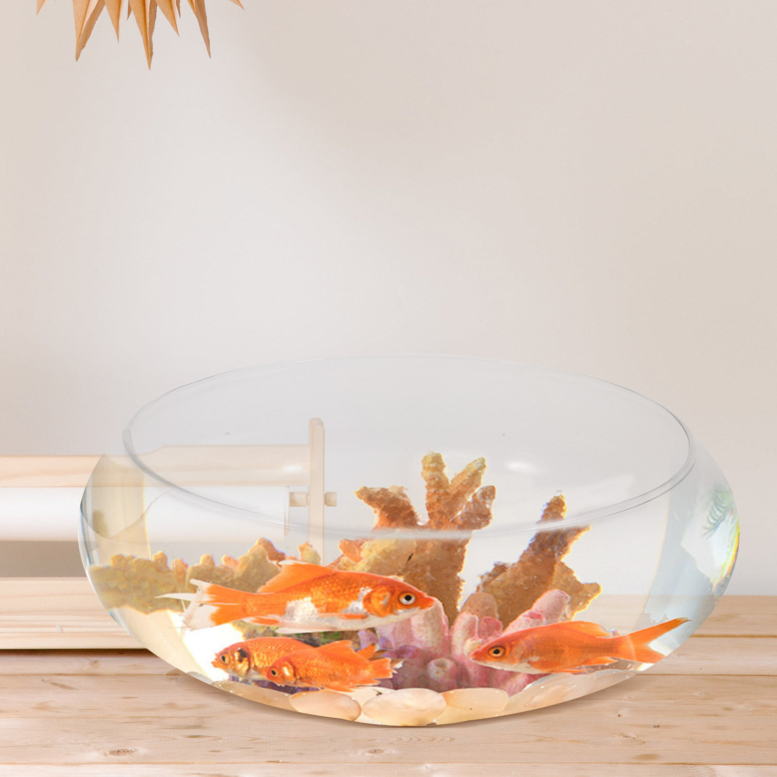 プレミアムガラス製金魚鉢 小型卓上水槽 丸型透明水槽 金魚用 - Aquarium Fish Goldfish のレビューと価格