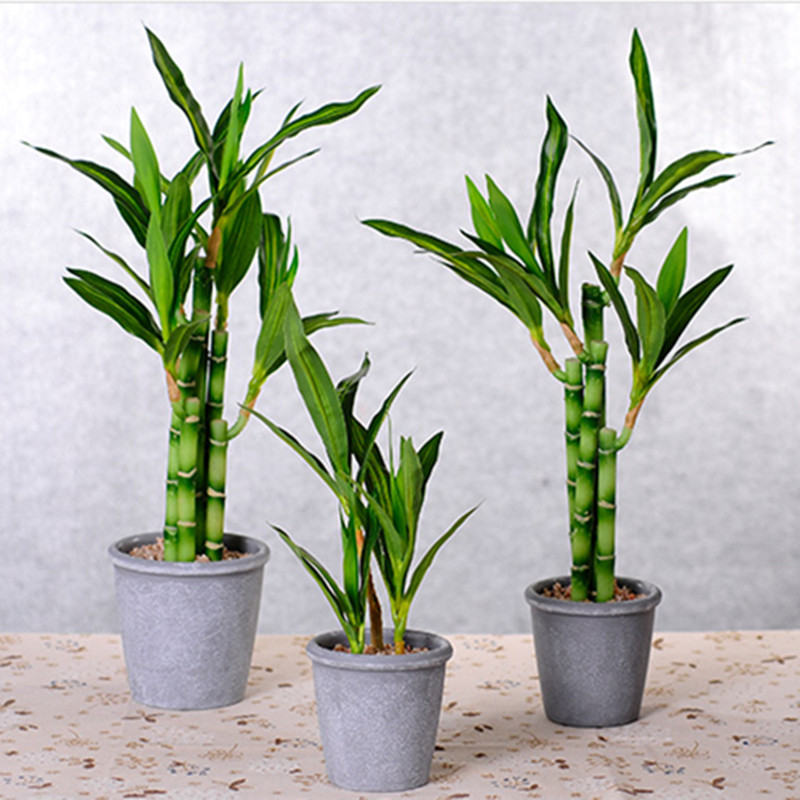 新しい40cm人工ラッキーバンブー多肉植物フェイクプラントフ - Aquarium Fish Only のレビューと価格