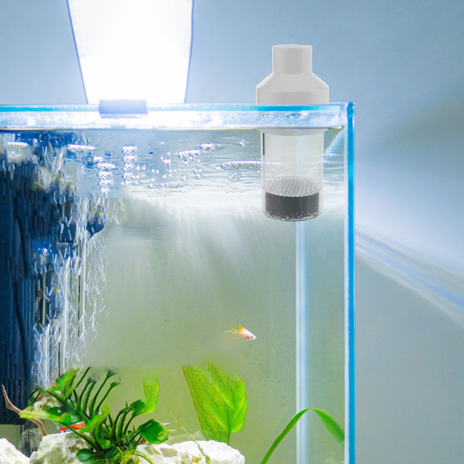 魚類孵化器 50mm アクアリウムタンブラー 繁殖ツール シ - Aquarium Fish Cichlid のレビューと価格