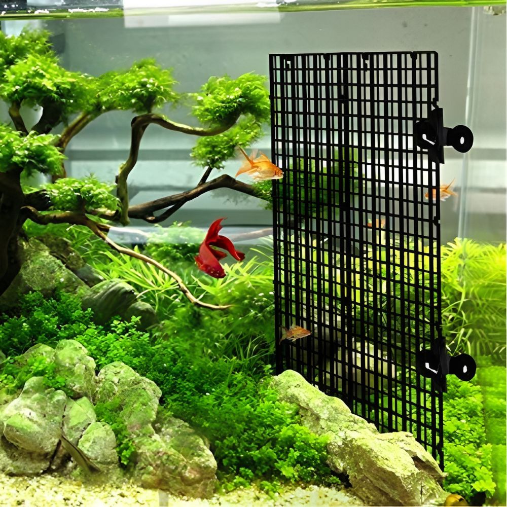 14個入り水槽グリッドディバイダー プラスチックメッシュセッ - Tank Divider Mesh のレビューと価格