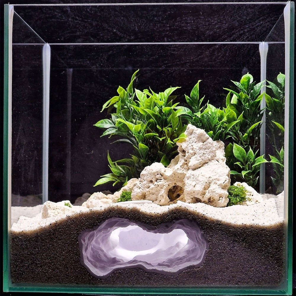 新しく登場した高度にシミュレートされた水槽用魚タンク、自然を - Aquarium Fish Reproduction のレビューと価格