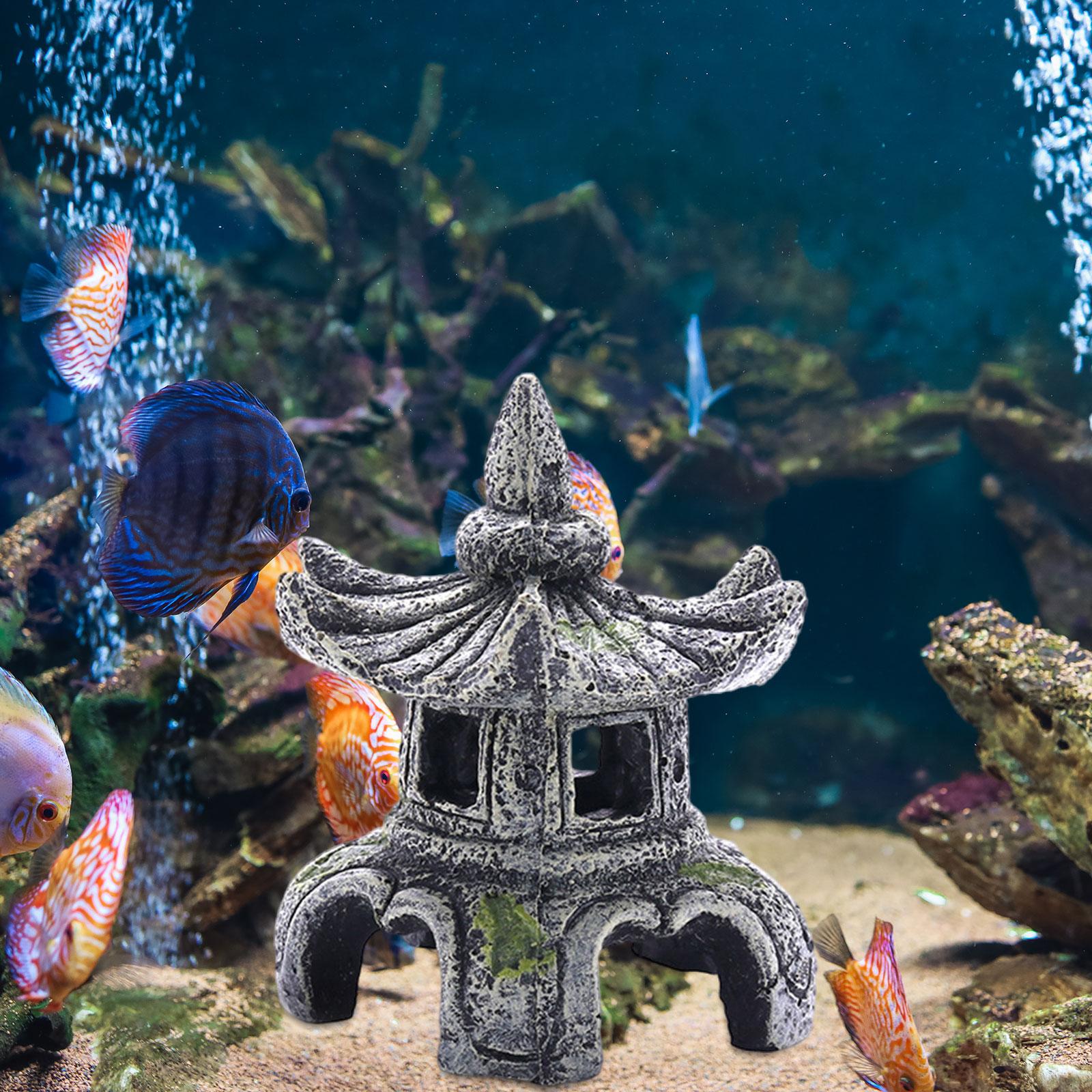 水族館の装飾,水槽の装飾,ペットアクセサリー - Aquarium Fish Cichlid のレビューと価格