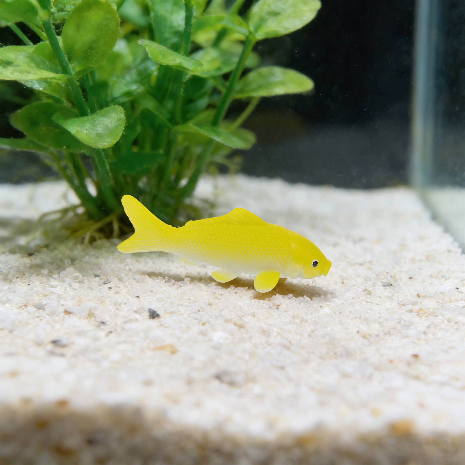 3 個の魚工芸品おもちゃリアルなプラスチック魚の置物人工水槽 - Fish Aquarium Home のレビューと価格