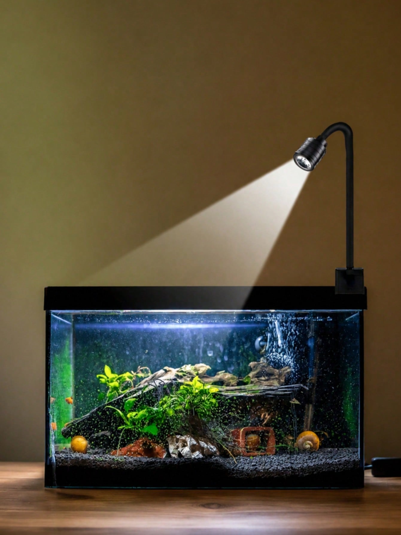 USB水槽ライト、ズーム式南米スポットライト、金魚水槽用クリ - Aquarium Fish Goldfish のレビューと価格