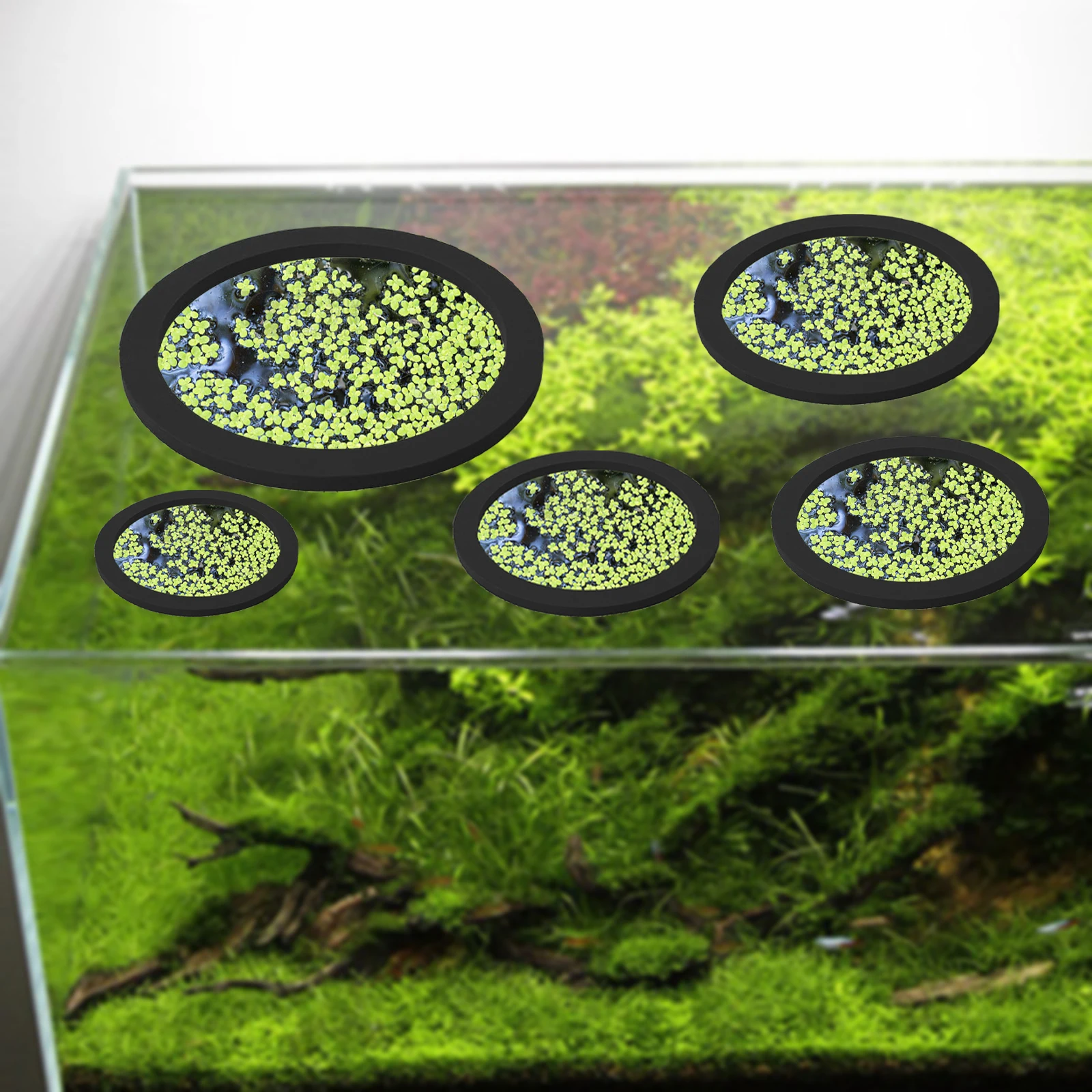 5 個 EVA 魚給餌リング水族館浮遊植物囲い水槽フロート植 - Aquarium Fishing のレビューと価格