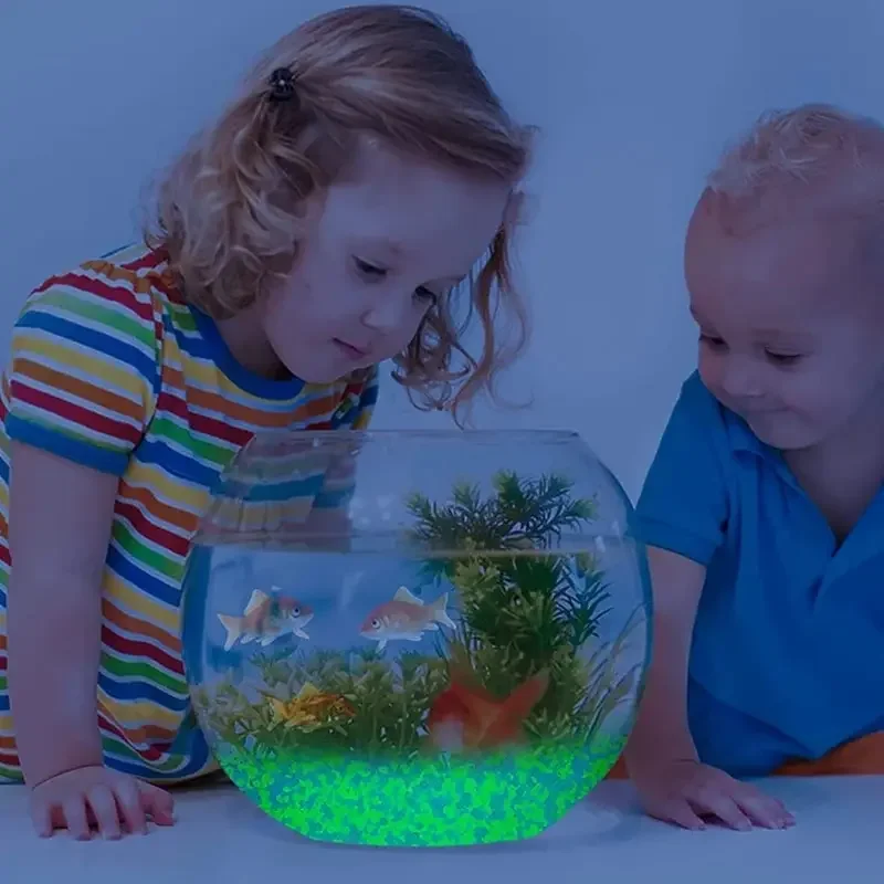 暗い小石の中で輝き、明るい砂岩、家の庭、庭、屋外の小道、芝生 - Aquarium Fishing のレビューと価格