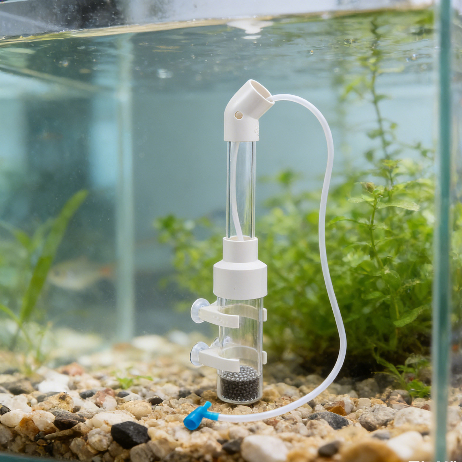 2セット 魚卵孵卵器キット 40mm 自動透明卵タンブラー孵 - Aquarium Fish Cichlid のレビューと価格