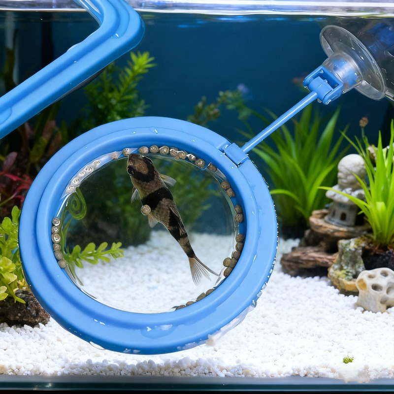 水槽用給餌リングステーション、フローティングフードトレイフィ - Aquarium Fish Auto Feeder のレビューと価格