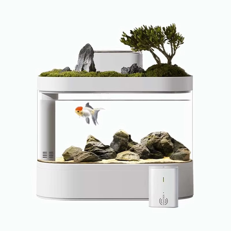 デスクトップスマートアクアリウム水槽 自動給餌器とLED照明 - Aquarium Fish Feeder Automatic のレビューと価格