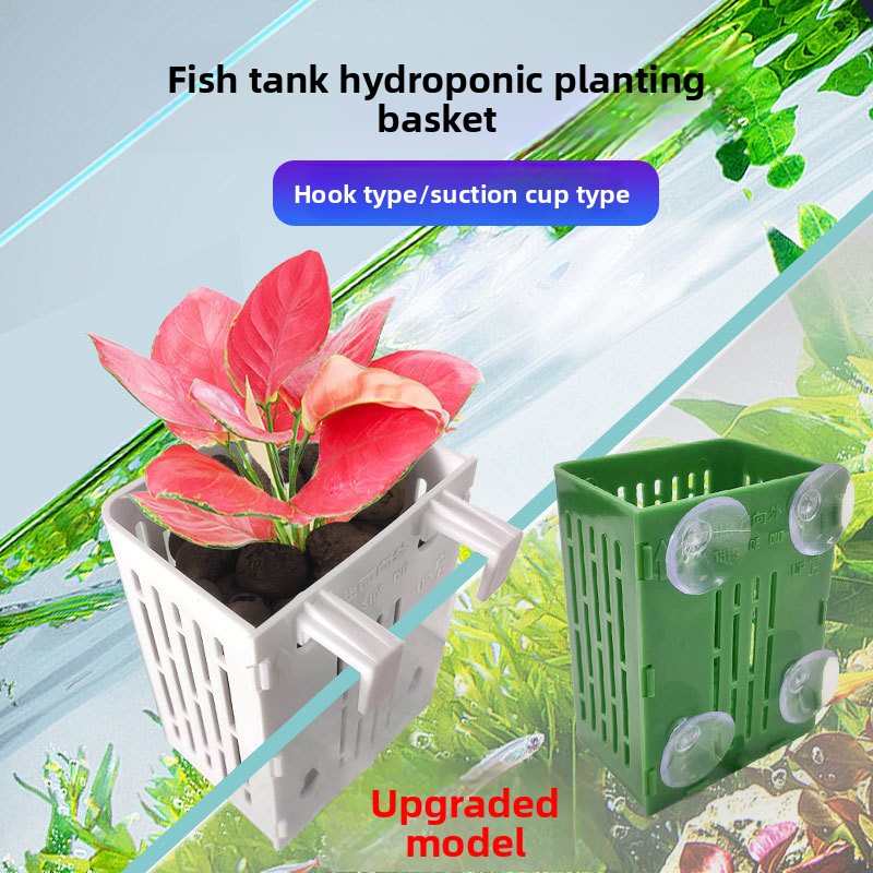 1PC 壁掛け水耕栽培植栽バスケット水槽用グリーンアイビー水 - Aquarium Fish Only のレビューと価格