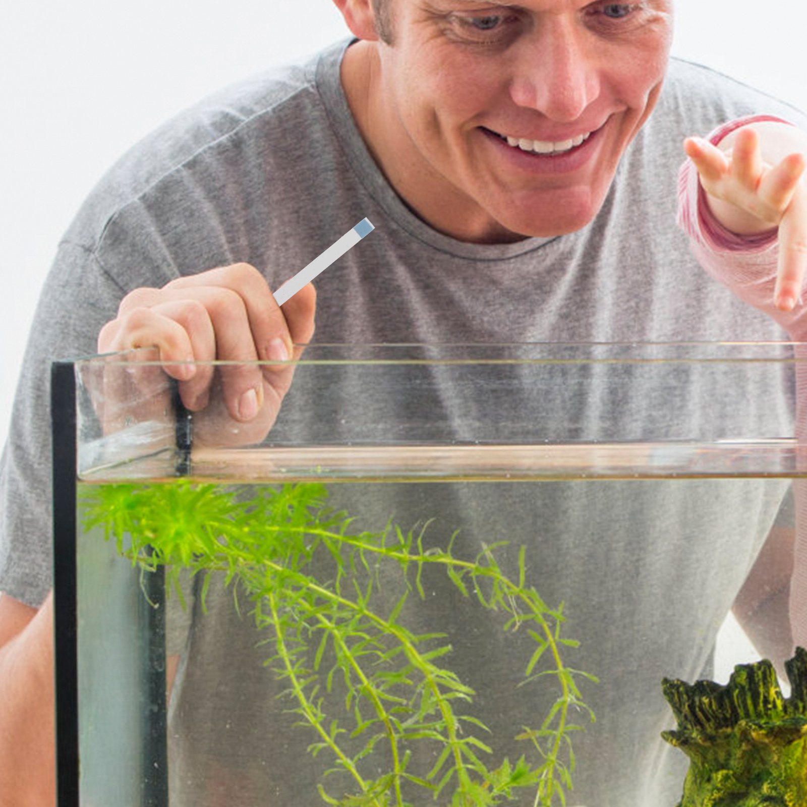 スイミングプール用テストストリップ、ホットタブ・スパ用pHテ - Aquarium Test Kit のレビューと価格