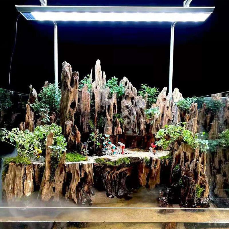 △   エビの木製水槽装飾品、天然の穴が付いた水槽用の流木水 - Aquarium Fish Cichlid のレビューと価格