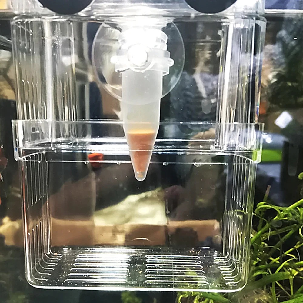自動魚フィーダーコーンエビ卵ワーム漏斗カップ給餌ツールリング - Aquarium Fish Feeder Automatic のレビューと価格