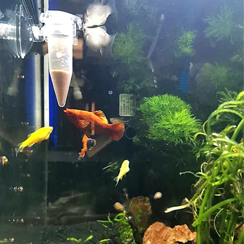 自動魚フィーダーコーンエビ卵ワーム漏斗カップ給餌ツールリング - Aquarium Fish Feeder Automatic のレビューと価格